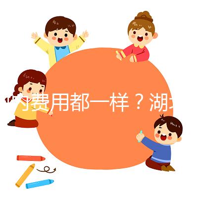 國內(nèi)費(fèi)用都一樣?湖北洪湖做一次試管嬰兒花費(fèi)明細(xì)看這里