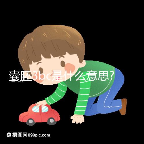 囊胚3bc是什么意思?認(rèn)識移植成功率和質(zhì)量好壞看這里