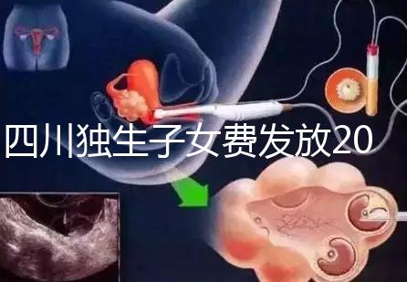 四川獨生子女費發(fā)放2024年新規(guī)定，如何盡快領取自貢？