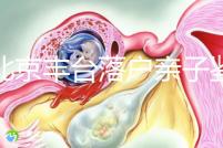 在北京豐臺(tái)落戶親子鑒定的地方,首先了解2024年的最新政策