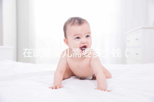 在試管嬰兒需要多少錢（在試管嬰兒需要多少錢費(fèi)用）