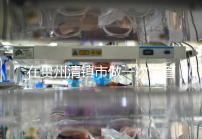 在貴州清鎮市做一次試管嬰兒要花多少錢?