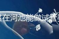 地貧在河池能做試管嬰兒嗎？廣西哪些醫院能做第三代試管？
