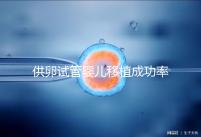 供卵試管嬰兒移植成功率高,一次就能成?很多人都被坑過(guò)