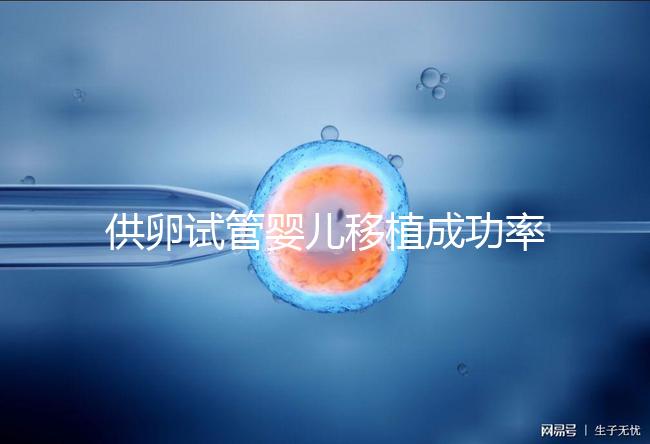 供卵試管嬰兒移植成功率高，一次就能成？很多人都被坑過