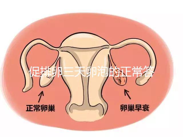 促排卵三天卵泡的正常答案是什么?取出8毫米卵原細(xì)胞的時間