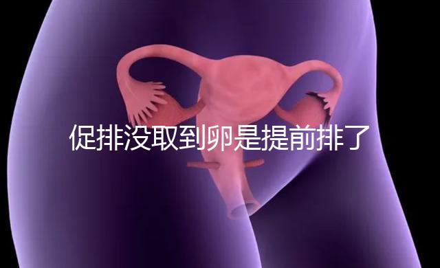 促排沒(méi)取到卵是提前排了還是空的難說(shuō),多半與這幾點(diǎn)有關(guān)