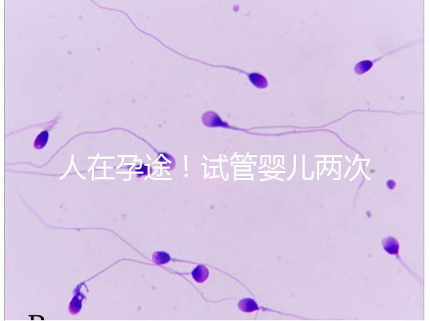 人在孕途!試管嬰兒兩次胎停育,了解這幾招能降低流產風險