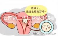云南第三代試管嬰兒的費用是多少？如何選擇可靠的醫院？這篇文章的策略已經為你做好了