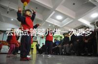 云南試管嬰兒做一次要多少錢?2024年助孕價(jià)格清單