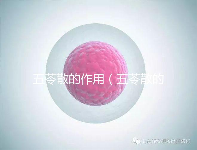 五苓散的作用(五苓散的作用與功效)