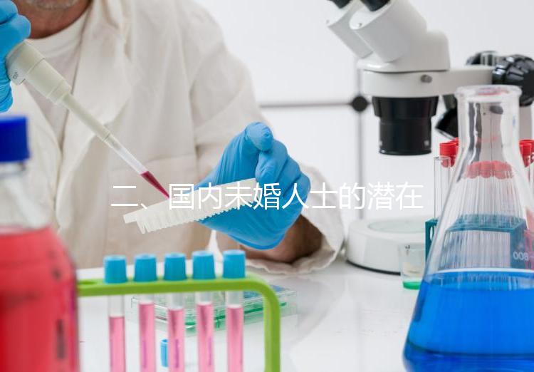 二、國(guó)內(nèi)未婚人士的潛在選擇與風(fēng)險(xiǎn)