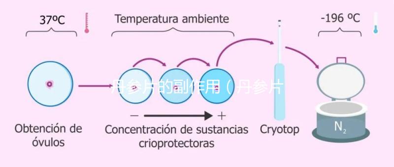 丹參片的副作用(丹參片的副作用有哪些)