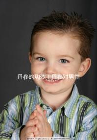 丹參的功效（丹參對(duì)男性性功能影響）