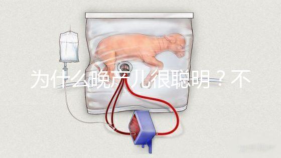 為什么晚產兒很聰明？不要被智商比同齡人高誤導