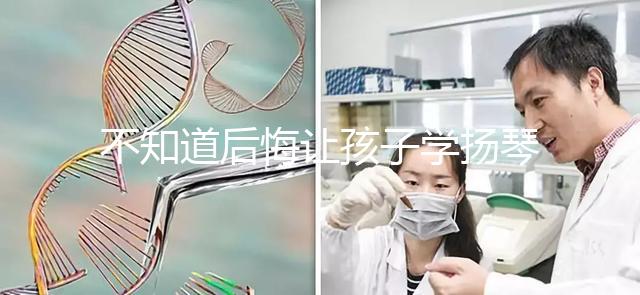 不知道后悔讓孩子學揚琴怎么辦看這，年齡是決定因素