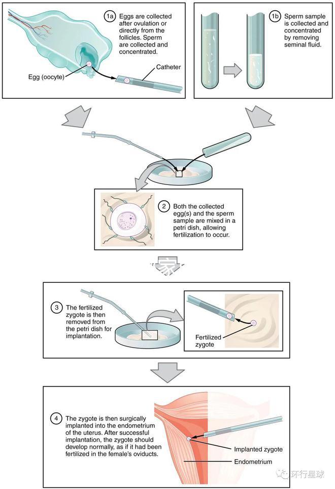 不知?dú)J州哪家男科醫(yī)院好戳，機(jī)構(gòu)能不能一目了然