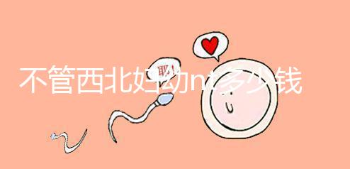 不管西北婦幼nt多少錢,先搞清楚流程再說(shuō)