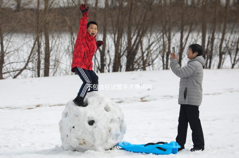 不包含在試管手術(shù)費用內(nèi)!單雙腔取卵針價格自費