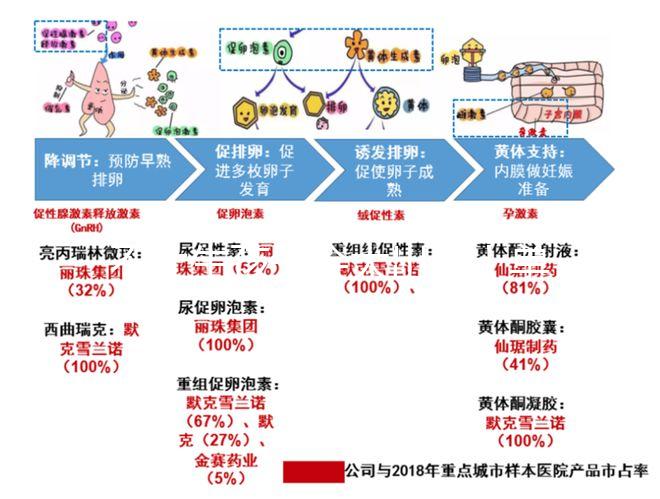 不止生孩子會(huì)大出血!單角子宮還要留意這4大健康威脅