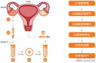 不造十堰市太和醫院做試管怎么樣？看看透明助孕費用就明了