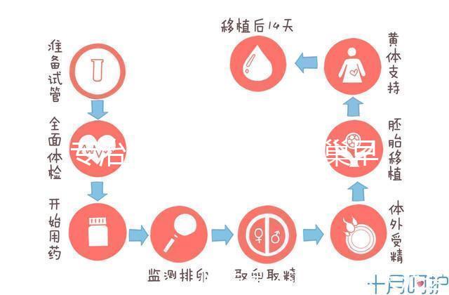 專治停經、絕經、卵巢早衰？利維愛的作用與適應癥分析