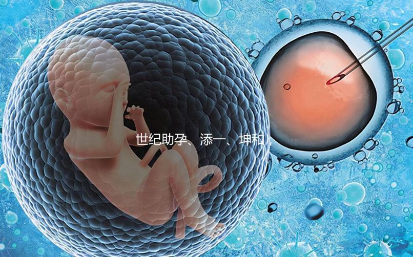 世紀助孕、添一、坤和,一起來看看上海助孕公司哪家好?