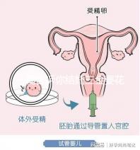 一篇告訴你結婚三金要花多少錢，高不高還得看克數