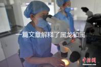 一篇文章解釋了屬龍和屬兔的人能否在一起,他們將如何全部包括在內