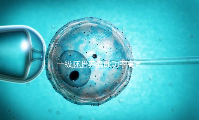 一級(jí)胚胎養(yǎng)囊成功率高≠零失敗,染色體異常是主要原因