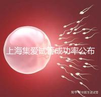 上海集愛試管成功率公布，排名輕松進入全國前二十！