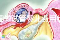 中國做試管嬰兒費(fèi)用收費(fèi)價(jià)目表一覽,包含具體成本預(yù)算