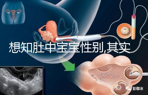 想知肚中寶寶性別,其實(shí)唐篩單子上有男女暗示