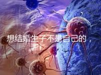 想結婚生子不是自己的，精神損失費和撫養(yǎng)費都涉及到