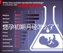 懷孕初期月經(jīng)怎么了?