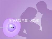 懷孕天數(shù)與血hcg對照表參考,孕早期排除病理性生化妊娠