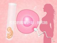 拉拉的婚育計劃:她和她相戀十幾年,終于在塞班結婚了!