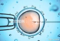 成功案例：“1 1=3”