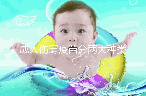 成人傷寒疫苗分兩大種類，選擇使用口服還是注射都不錯