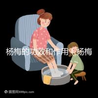 楊梅的功效和作用(楊梅的功效和作用禁忌 營養(yǎng)價值)