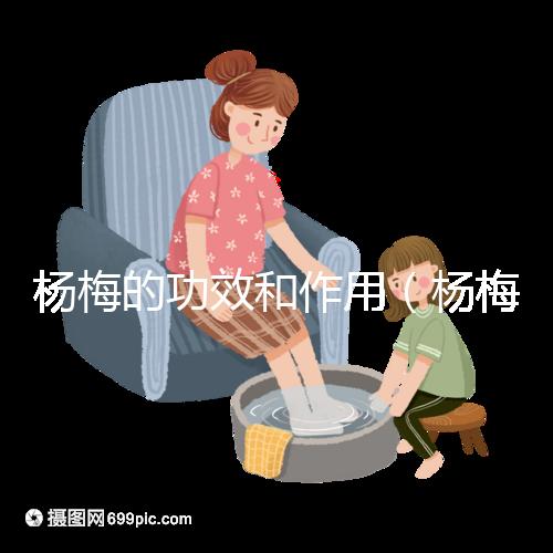 楊梅的功效和作用(楊梅的功效和作用禁忌 營養(yǎng)價(jià)值)