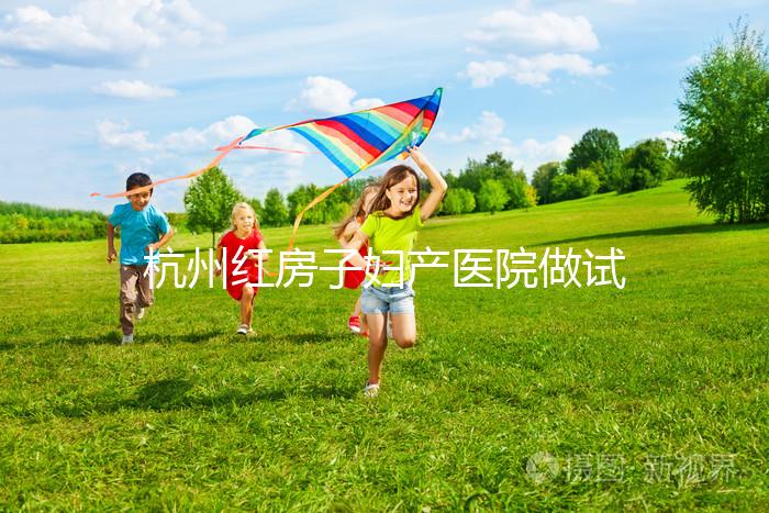 杭州紅房子婦產醫院做試管嬰兒需要多少錢？2025試管價目表曝光（含檢查、促排、移植全流程費用明細）