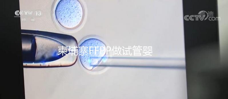 柬埔寨FFPP做試管嬰兒不“包成功”，小心不良中介套路