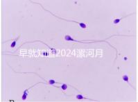 早就知道2024漯河月子中心的價(jià)格表了！媽咪悅只需要這個(gè)數(shù)字