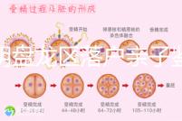 昆明盤(pán)龍區(qū)落戶親子鑒定在哪里看這，2024流程、費(fèi)用都有