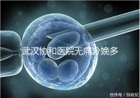 武漢協和醫院無痛分娩多少錢答案在這，住院一天費用不高