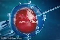 武漢市2024年獨(dú)生子女補(bǔ)貼政策已經(jīng)實(shí)施,領(lǐng)取流程更加規(guī)范