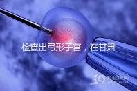 檢查出弓形子宮，在甘肅玉門能做試管嬰兒懷孕嗎？