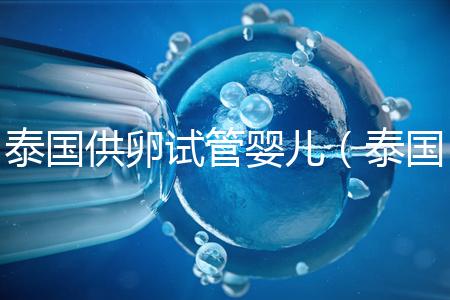 泰國供卵試管嬰兒(泰國供卵試管嬰兒合法嗎)