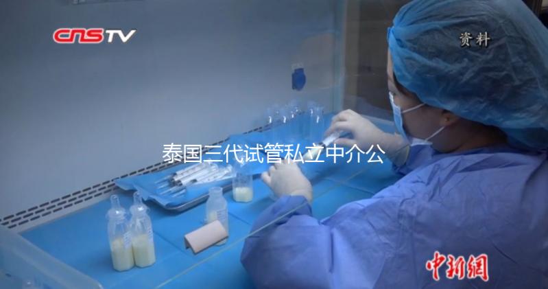 泰國三代試管私立中介公司推薦，排名一目了然，輕松選擇！